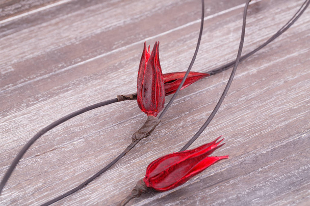červené sušené květiny - Fotografie, Obrázek