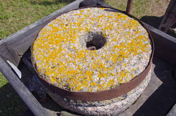 Meule ancienne avec lichens
 - Photo, image