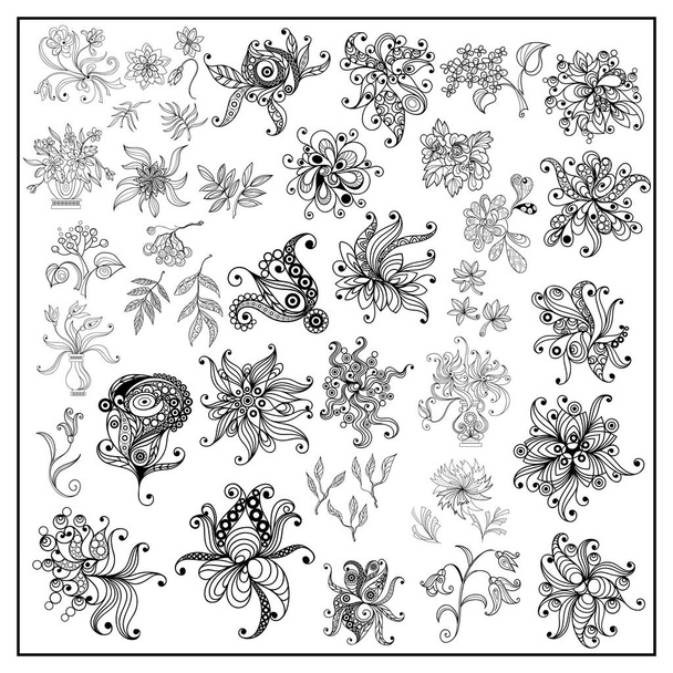 Graphic illustration with floral elements_set 4 - Vettoriali, immagini