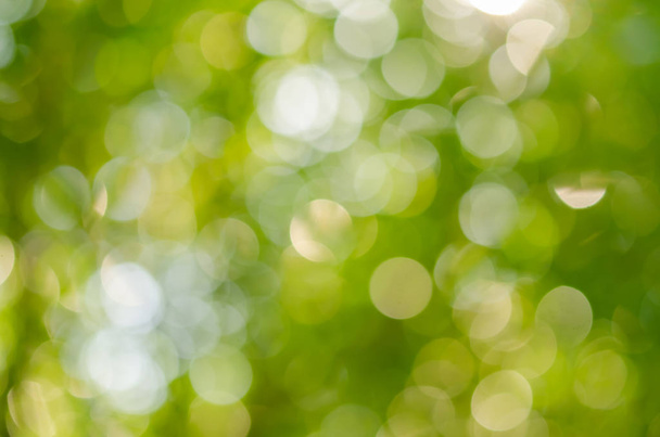 Kopioi tilaa luonnon vihreä bokeh auringonvalo leimahtaa ja hämärtää lehtiä abstrakti rakenne tausta
. - Valokuva, kuva