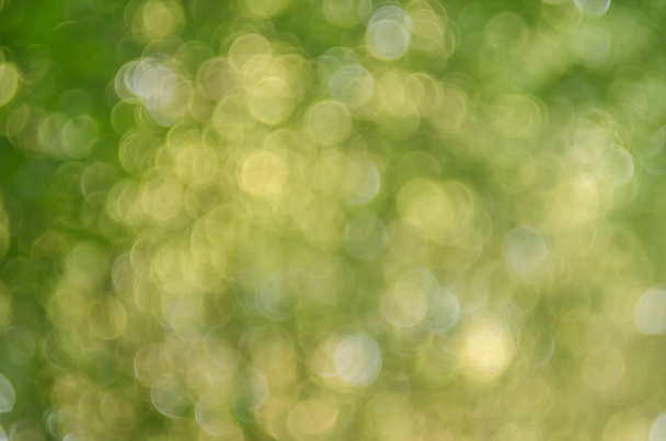 Copy space of nature green bokeh sun light flare and blur leaf abstract texture background.  - Foto, imagen