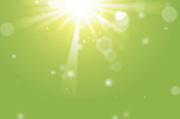 Abstract colorful bokeh and sun light on green background. - Photo, image