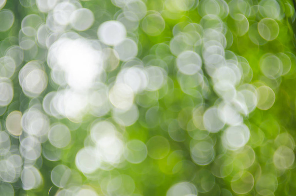Copiar el espacio de la naturaleza verde bokeh sol luz llamarada y difuminación hoja abstracta textura fondo
. - Foto, Imagen
