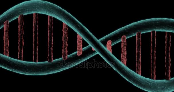 Animáció a DNS lánc gyrating fekete háttér - Felvétel, videó
