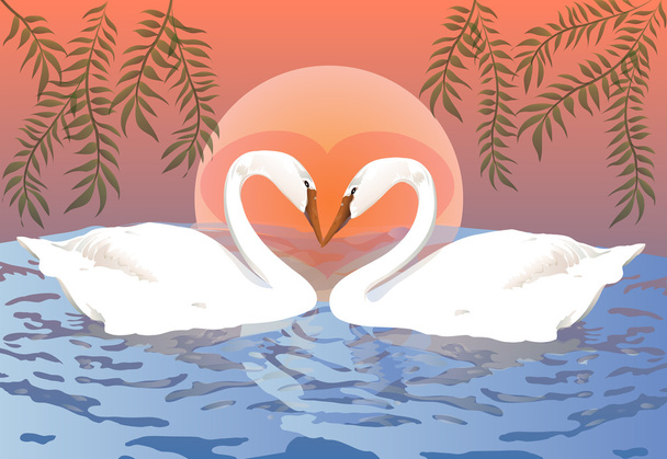 Two romantic swans - Vector, Image