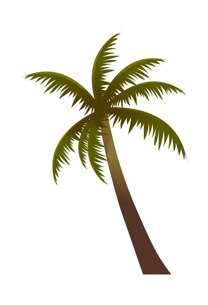 zöld levelű pálmafa - Vektor, kép