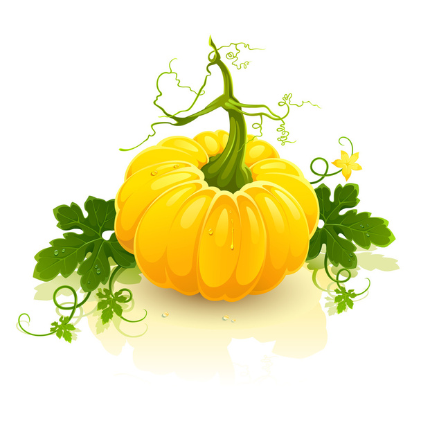 Pumpkin - Vector, Image