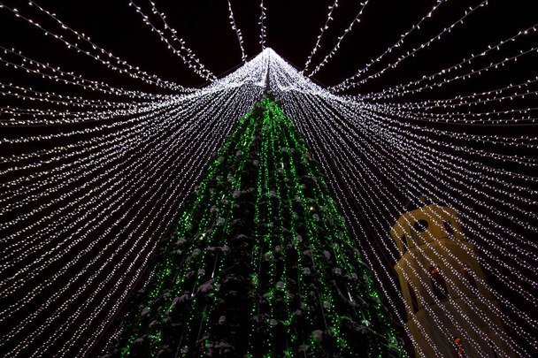 Vánoční strom v litevském Vilniusu je jedním z nejkrásnějších v Evropě 2016. Nízký úhel pohledu - Fotografie, Obrázek