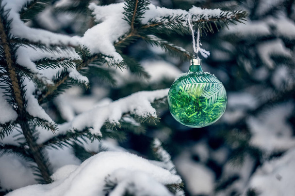 Green Christmas tree ball on spruce - Photo, Image