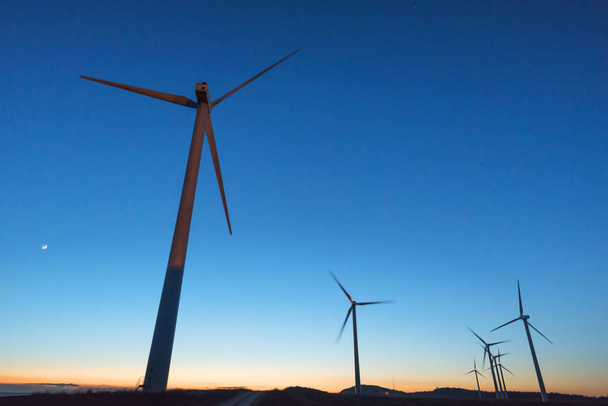 Wind farm at dusk - Photo, Image