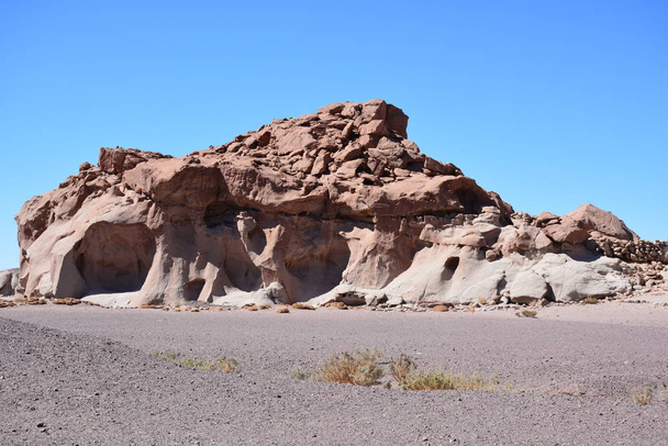 Paisaje, montaña, naturaleza y plantas en Atacama, Chile
 - Foto, imagen