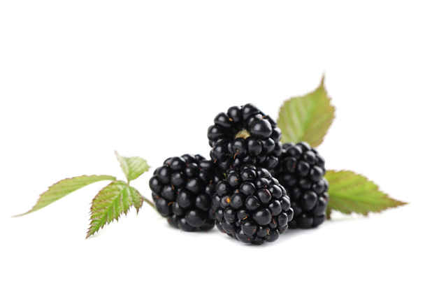 Blackberries - Valokuva, kuva