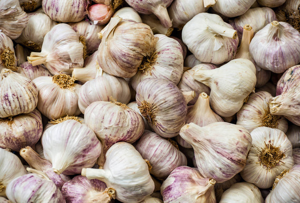 Garlic for sale - Photo, Image