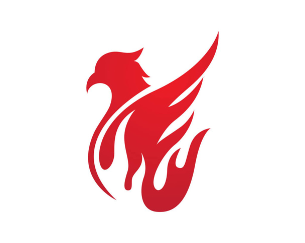Falcon Logo Template - Vector, Image