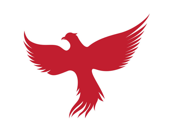 Falcon Logo Template - Vector, Image