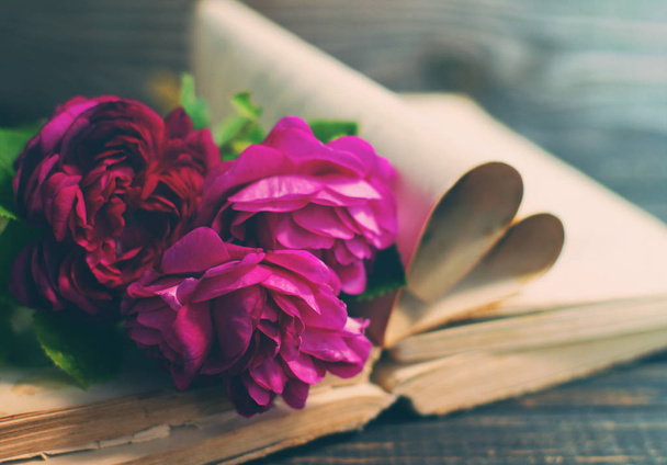 Garden pink roses and the old book on a wooden table in vintage style.  - 写真・画像