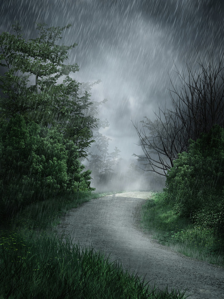 Дождевой пейзаж
 - Фото, изображение