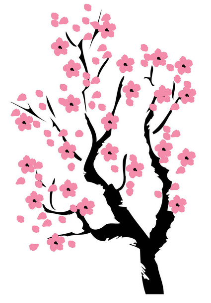 Vector flor de cerezo
 - Vector, Imagen