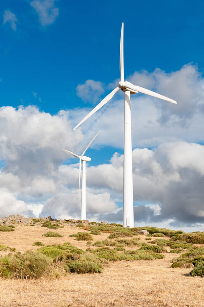 elektriciteitscentrale met windturbines in open veld achtergrond - Foto, afbeelding