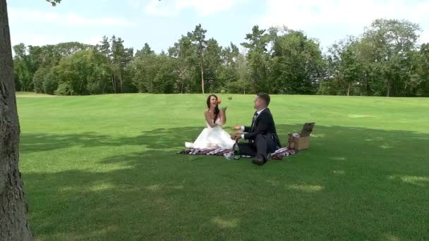Matrimonio coppia su un picnic
. - Filmati, video
