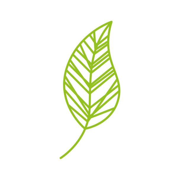 leaf drawing isolated icon - Vector, Image