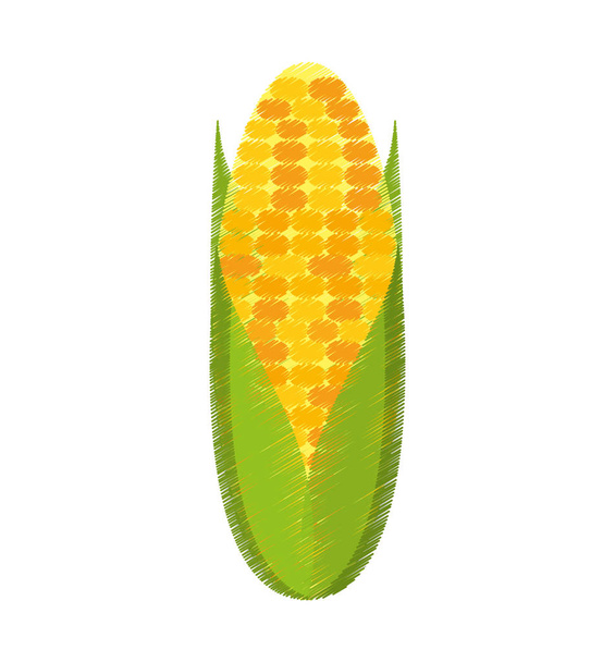 kukuřice zeleniny izolované ikona - Vektor, obrázek