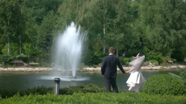 Wedding couple near fountain. - Footage, Video