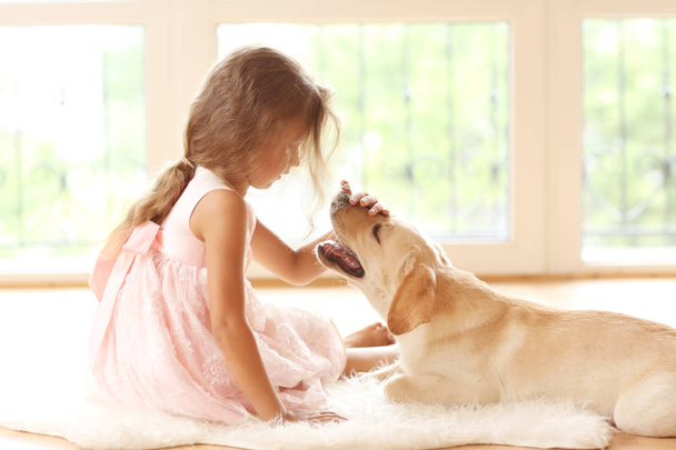 Little girl with golden Labrador dog in room - Fotografie, Obrázek