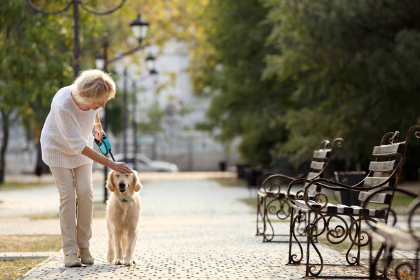 Senior woman walking with dog - Zdjęcie, obraz