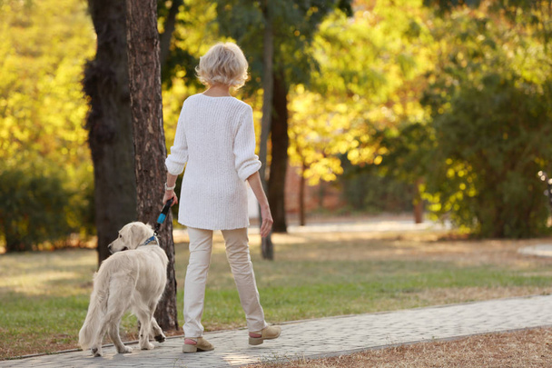 Ανώτερος γυναίκα το περπάτημα με το σκύλο - Φωτογραφία, εικόνα