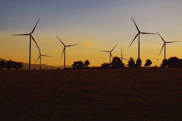 Windmills on field at sunset - Zdjęcie, obraz
