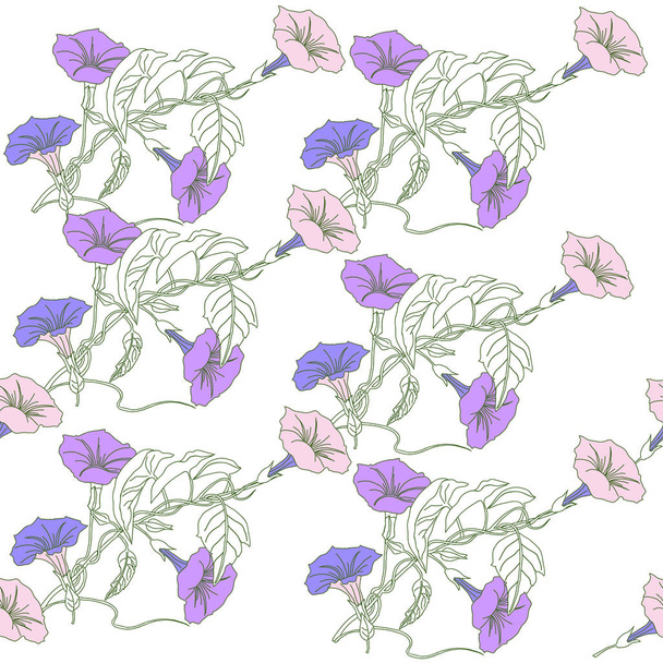 Seamless pattern with blue  pink bindweed - Vector, afbeelding
