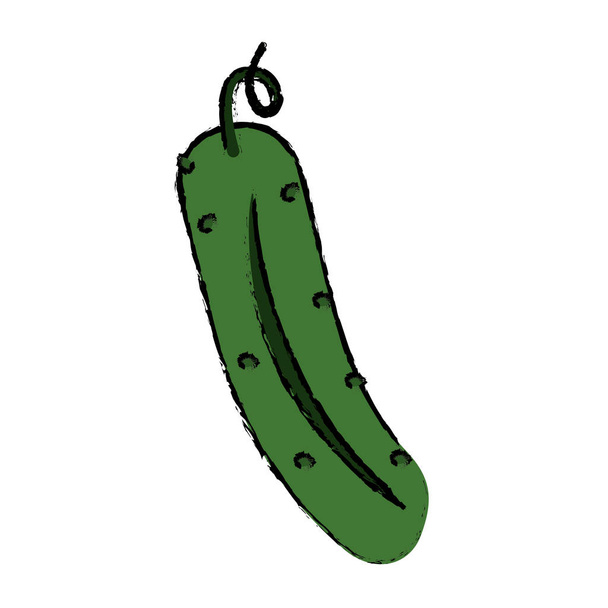 desenho pepino nutrição ícone vegetal
 - Vetor, Imagem