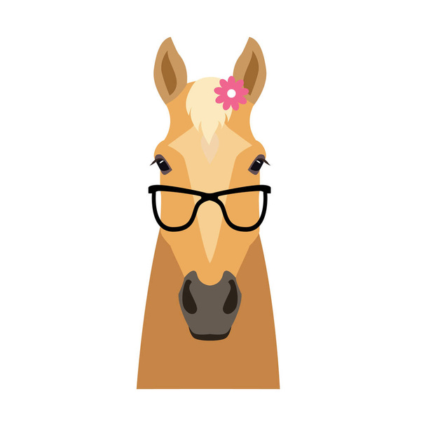 Vector palomino flat style horse head in sunglasses wearing flower - Vector, Image