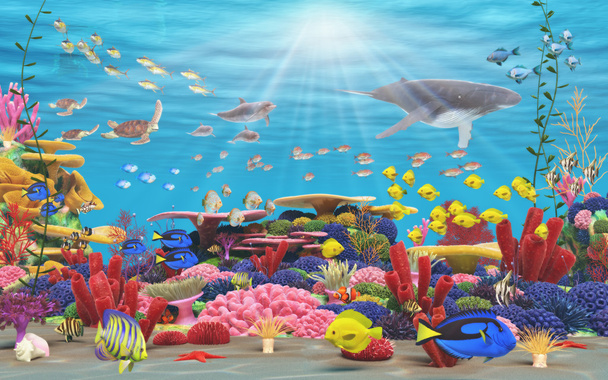 Podwodny Raj - Zdjęcie, obraz