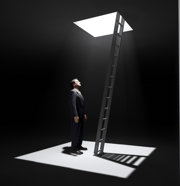 Corporate Ladder - Photo, Image