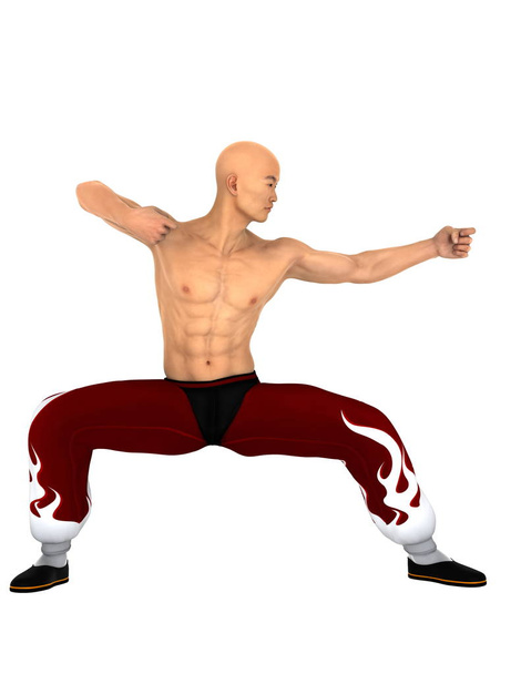 3D CG rendering of a Kung fu master - Фото, зображення