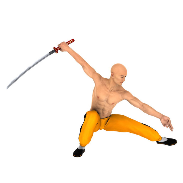 3D CG rendering of a Kung fu master - Foto, Imagem