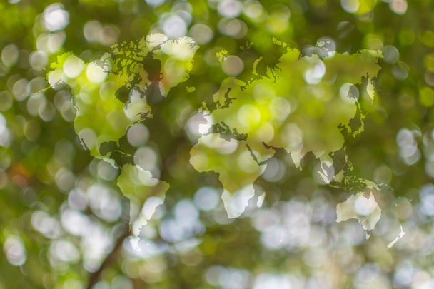 Abstract bokeh nature with world map - Foto, Imagem