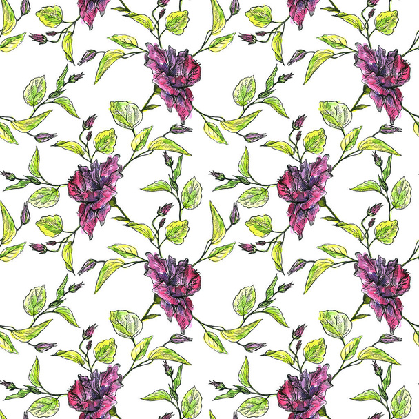 watercolor floral seamless pattern - Valokuva, kuva