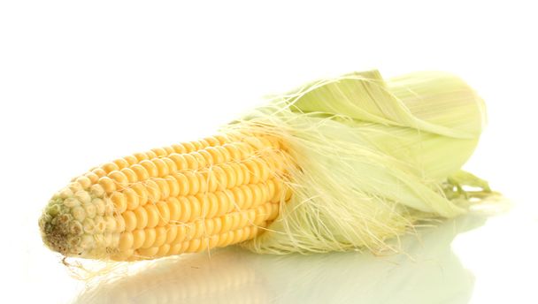 fresh corn, isolated on white - 写真・画像