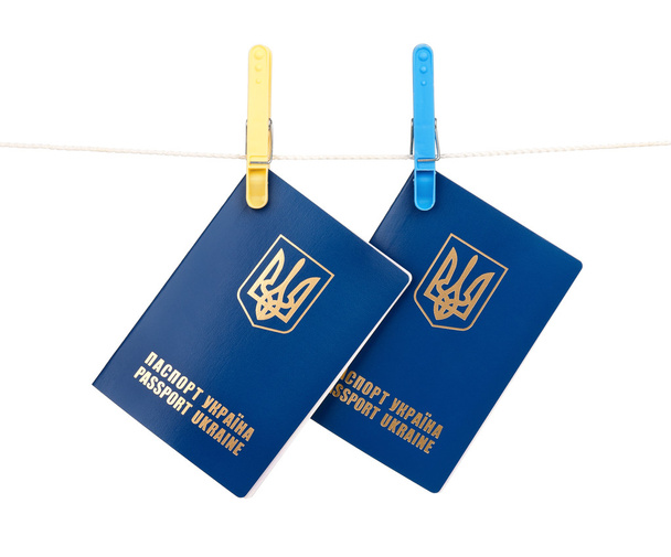 útlevél ukrán - Fotó, kép