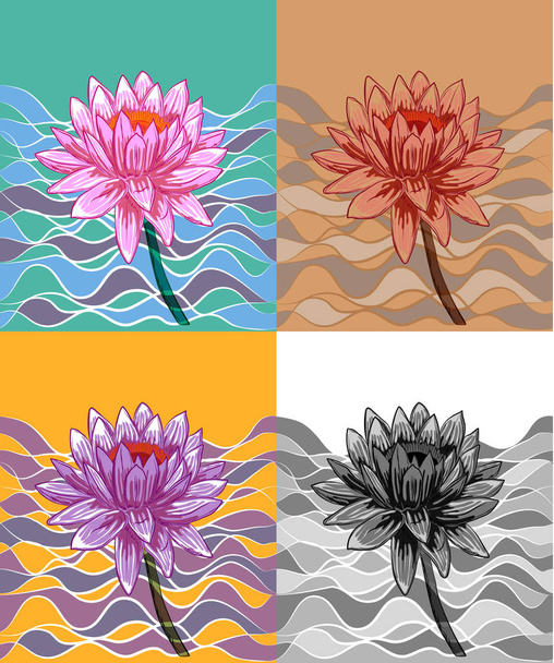 Illustrazione di loto in diversi colori
 - Vettoriali, immagini
