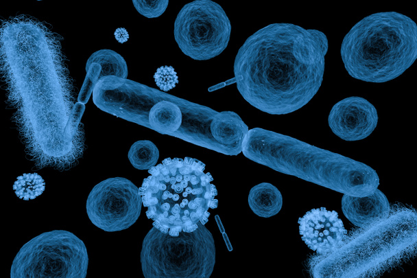 Röntgen verschiedener Bakterienzellen und Viren  - Foto, Bild