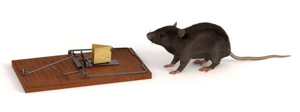 3D καθιστούν ποντικιού με ποντικοπαγίδα - Φωτογραφία, εικόνα