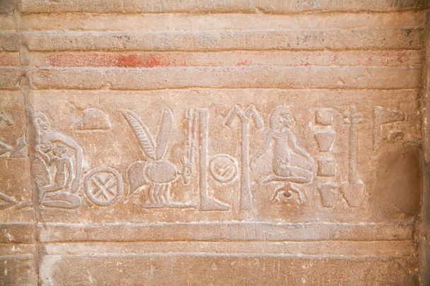 Egyptské hieroglyfy v Kóm Ombo chrám - Fotografie, Obrázek