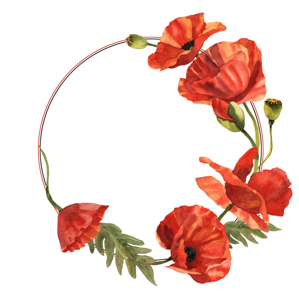 Wildflower poppy flower wreath in a watercolor style isolated. - Photo, Image