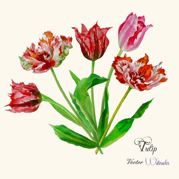 Background with bouquet of tulips-04 - Vector, Imagen