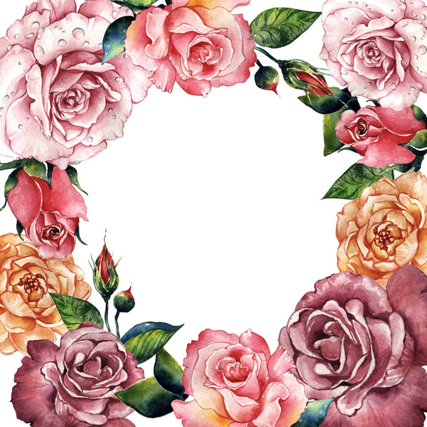Wildflower rose flower frame in a watercolor style isolated. - Photo, Image