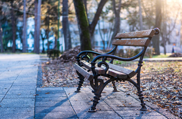 Скамейка в парке осенью
 - Фото, изображение